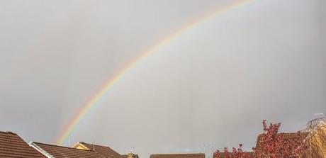 Project 366 Week 47 – The Countdown to Christmas Project 366 Week 47 – The Countdown to Christmas