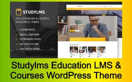 Studylms Education LMS & Courses WordPress Theme
