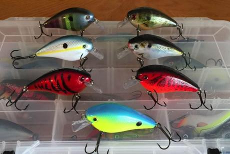 Fishing Lures 101: Important Tips for Buying a Fishing Lure