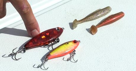 Fishing Lures 101: Important Tips for Buying a Fishing Lure