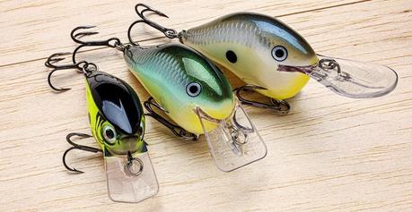 Fishing Lures 101: Important Tips for Buying a Fishing Lure