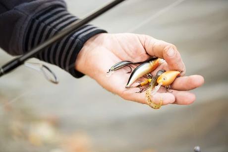 Fishing Lures 101: Important Tips for Buying a Fishing Lure