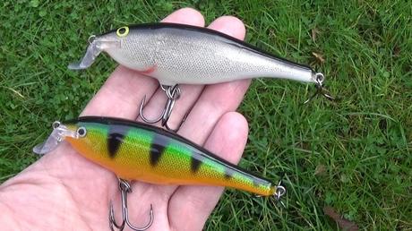 Fishing Lures 101: Important Tips for Buying a Fishing Lure