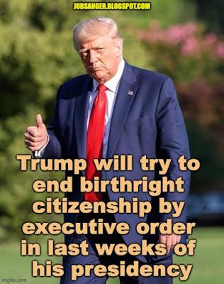 Trump To End Birthright Citizenship By Executive Order