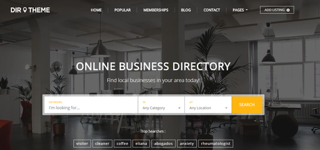 Directory WordPress themes