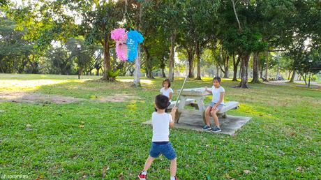 Creativity #123 - DIY Gender Reveal Piñata