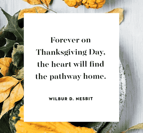 200 Best Thanksgiving Captions for Friends & Family