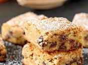 Best Chocolate Chip Blondies with Orange Zest