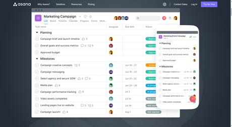 Asana project management software