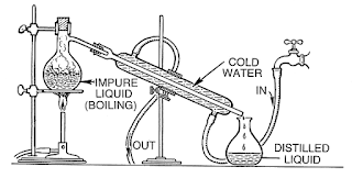 Distilling - Mary Quant Socks