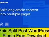 Epic Split Post WordPress Plugin Free Download