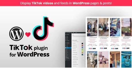 WordPress Tiktok Plugins