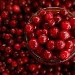 Thanksgiving Cranberry Sauce