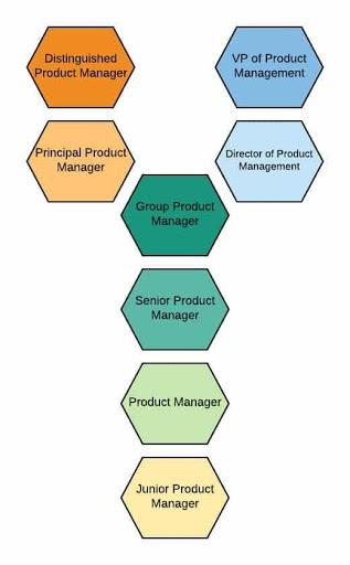The Career Ladder Of A Product Manager – Navigate It Better