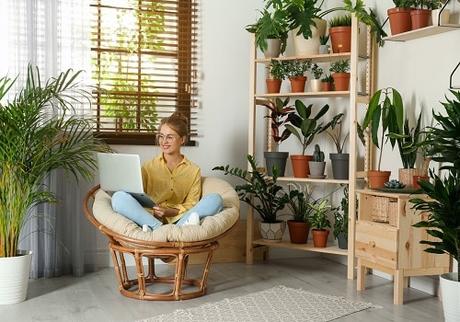 How To Grow Healthy Plants In Your Home