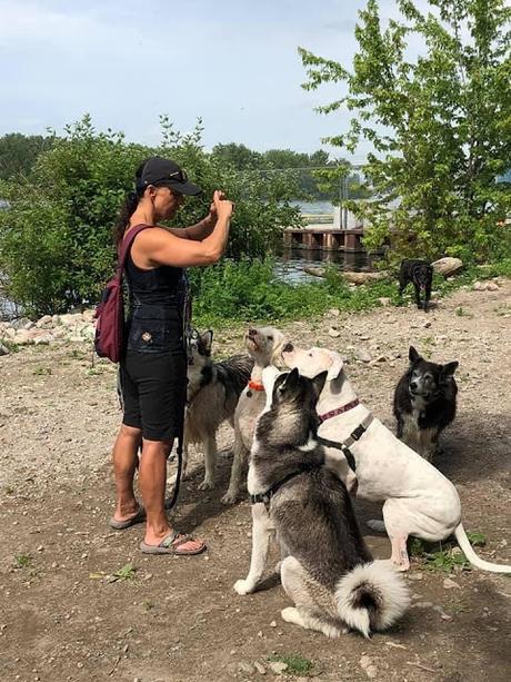Professional dog walker shares joys, challenges, & true stories about the job