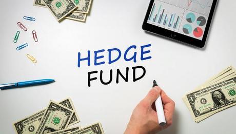 VIP Crypto Hedge Fund: Business And Beyond