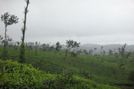 Top 10 Winter Holiday Destinations to visit in India this year