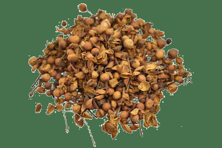 Nagkesar – Medicinal Benefits