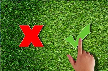 12 Steps to Making Your Final College Decision – How to Choose a College? 12 Steps to Making Your Final College Decision – How to Choose a College?