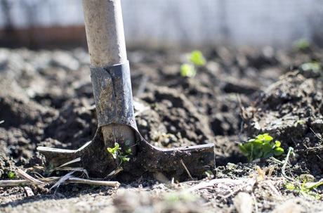 Garden Soil – How to Take Care of It
