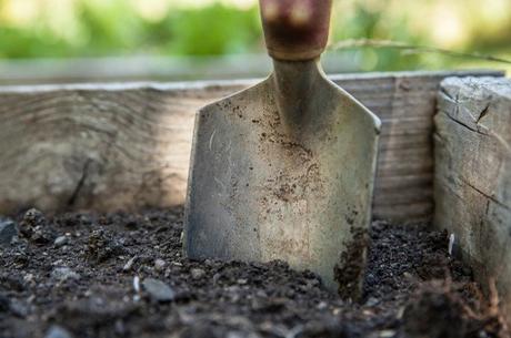 Garden Soil – How to Take Care of It