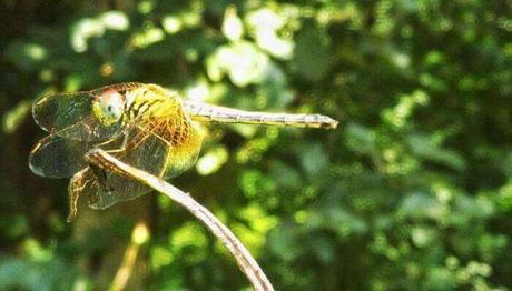 Picnic Spots In Ahmedabad That You Just Cannot Miss Out In 2020