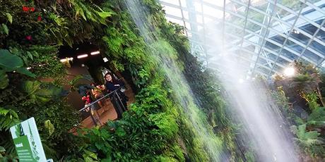 Cloud Forest waterfall