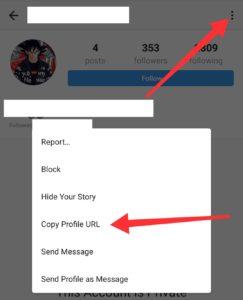 How to Check Instagram Viewer – How to Search For It