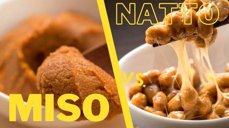 Miso vs Natto | Differences in Nutrition & Popular Dishes with Both miso vs natto