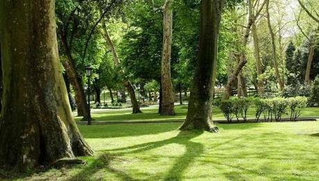 8 Best Picnic Spots In Udaipur For All The Thrill-Seekers