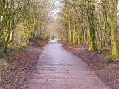 Project Week Will Winter Ready