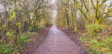 Project 366 Week 48 – We Will Be Winter Ready Project 366 Week 48 – We Will Be Winter Ready