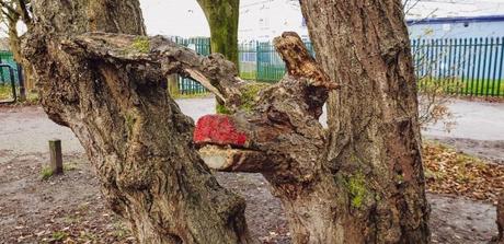 Project 366 Week 48 – We Will Be Winter Ready Project 366 Week 48 – We Will Be Winter Ready