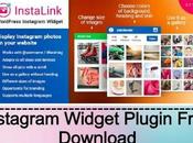 Instagram Widget Plugin Free Download