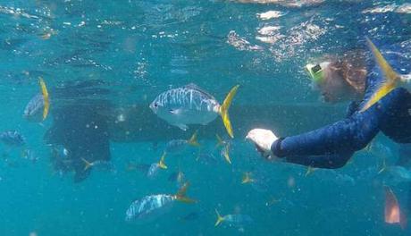 Snorkeling in Bangkok Is One Of The Best Things To Do In 2020