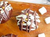 Chocolate Bombs with Marshmallows