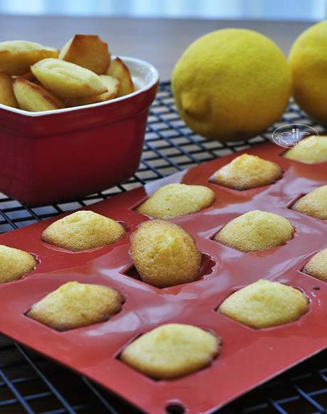 Mini Lemon Madeleines