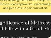 Benefits Body Pillows