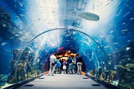 10 Top Best Family-friendly Places of Dubai