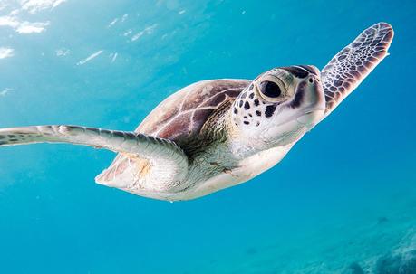 Youth vaping an epidemic with crackdown coming Youth vaping an epidemic with crackdown coming