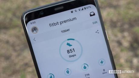 apple vs fitbit vs garmin