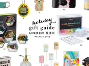 Holiday Gift Guide Under