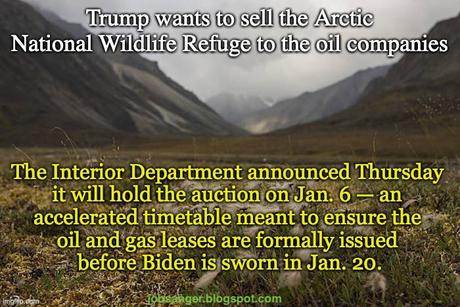 Trump Is Trying To Sell ANWR To The Oil Companies
