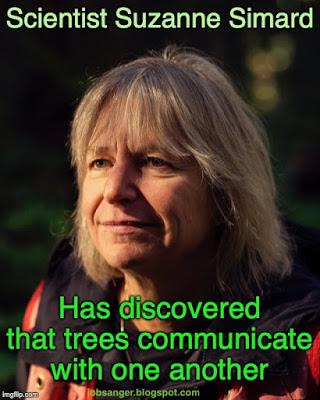 Scientist Discovers Trees Communicate With One Another