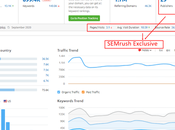 SpyFu Alternatives Competitors