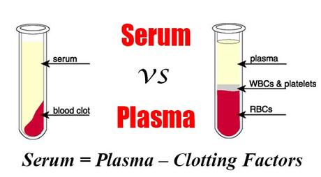 Difference Between Plasma and Serum