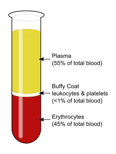 Difference Between Serum and Plasma