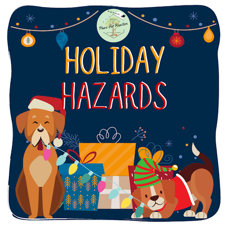 Holiday hazards for your pet: Safety tips to keep pets safe during Christmas season