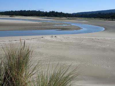 HIKING ALONG THE SILTCOOS RIVER ON THE OREGON COAST Guest Post by Caroline Hatton at The Intrepid Tourist